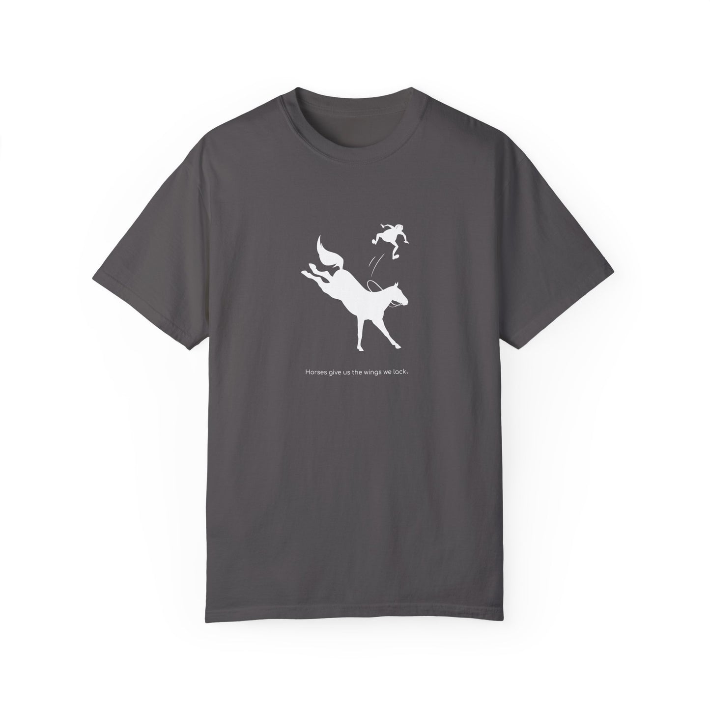 Horses give us the wings we lack
