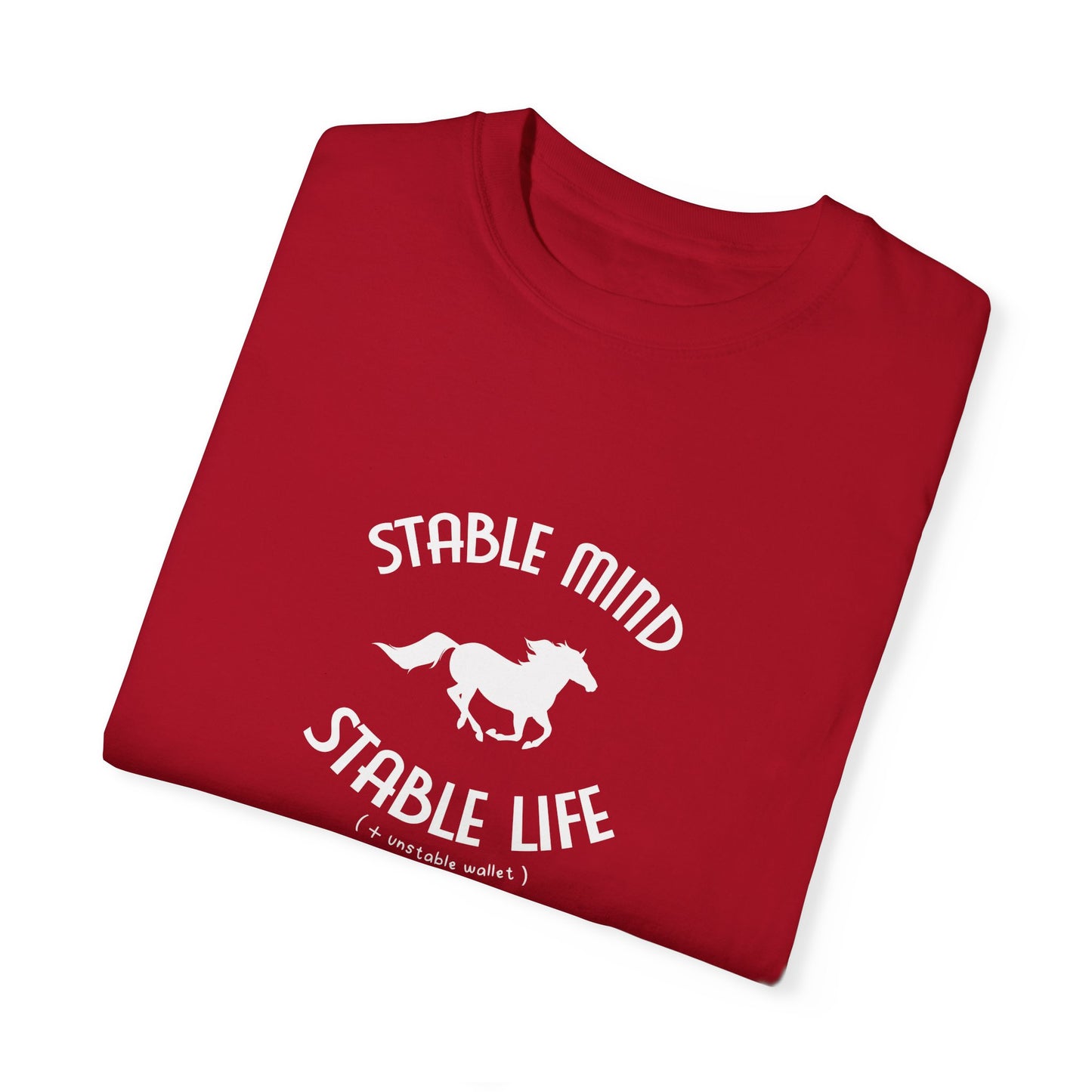 Stable Mind, Stable Life (+ unstable wallet)