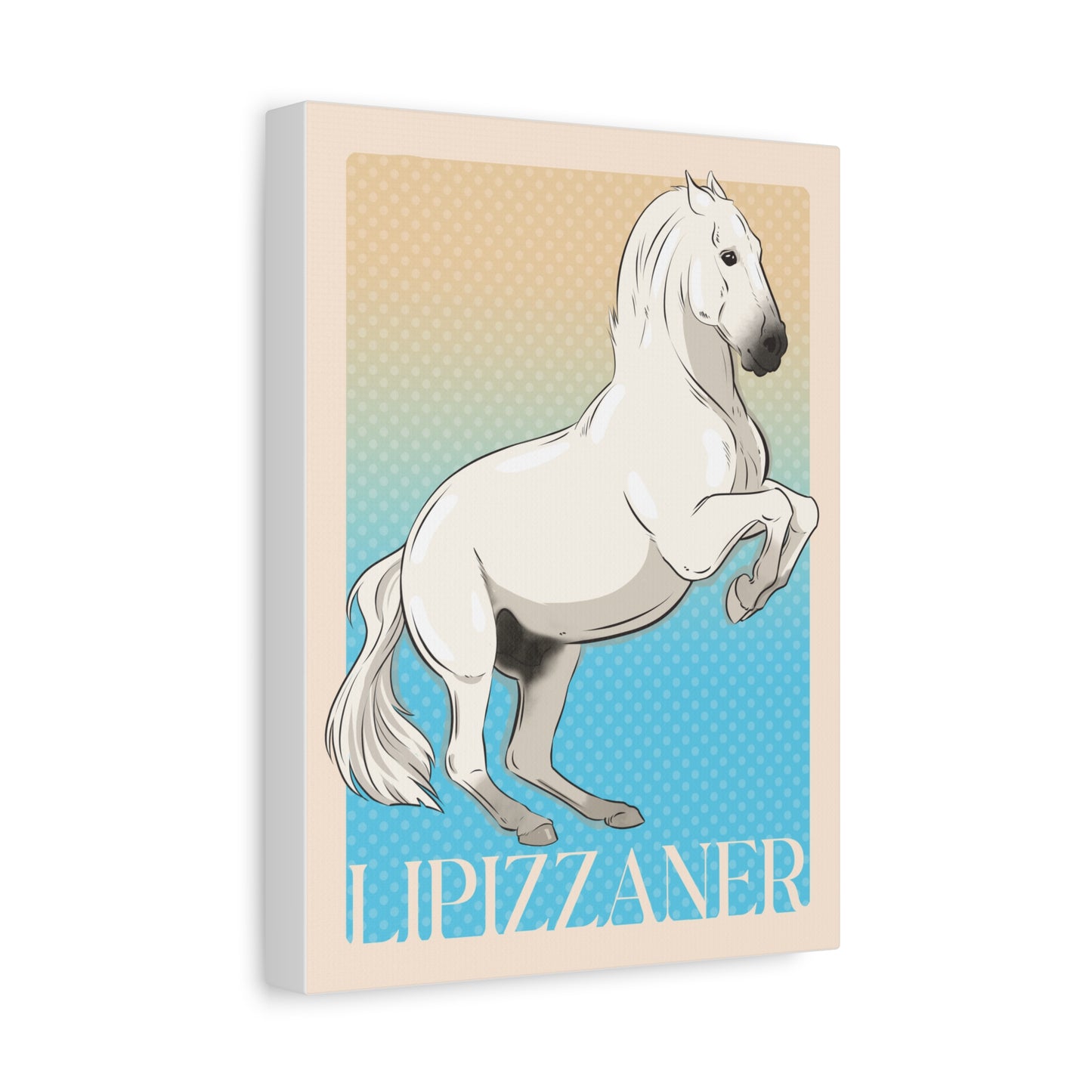 Canvas Print: Lipizzaner