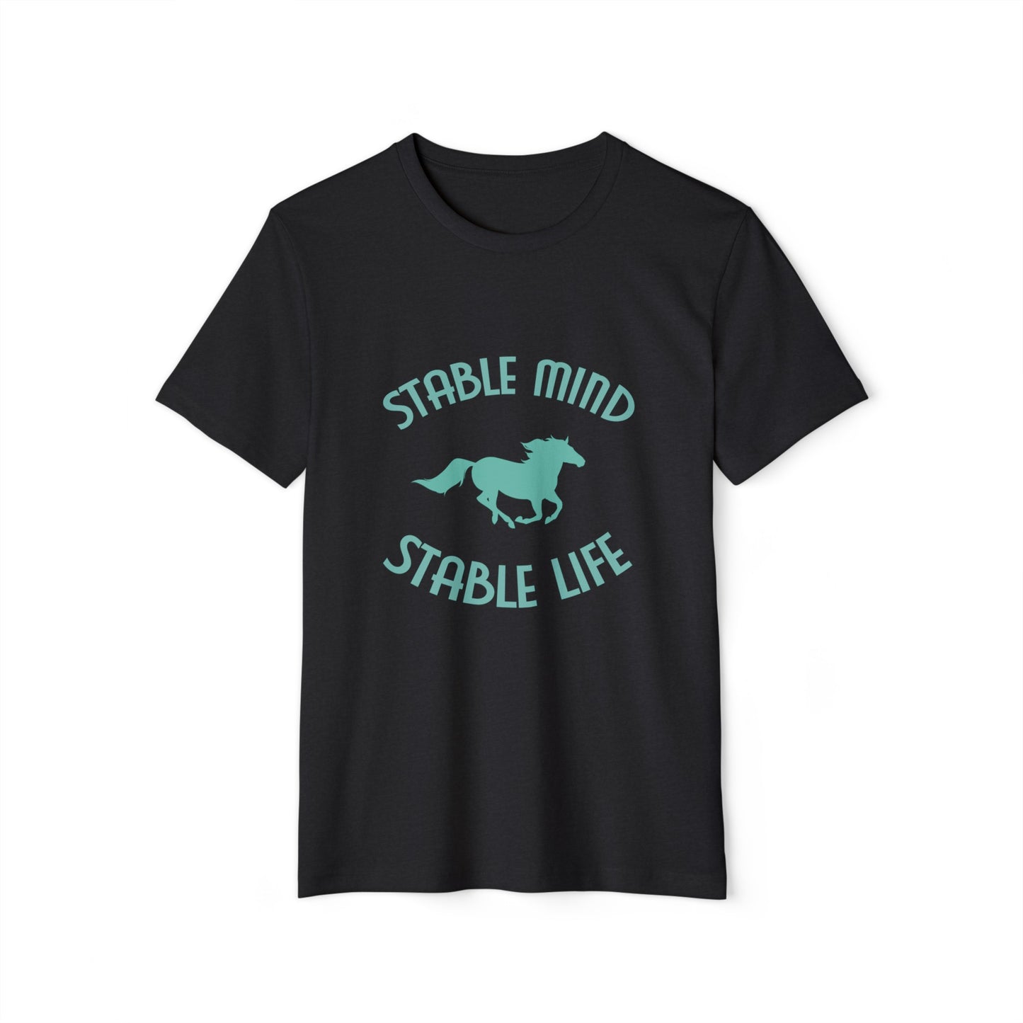 Stable Mind, Stable Life - Organic T-Shirt