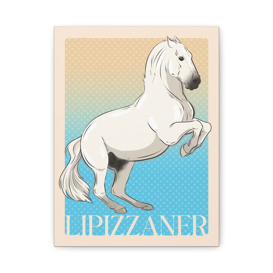 Canvas Print: Lipizzaner