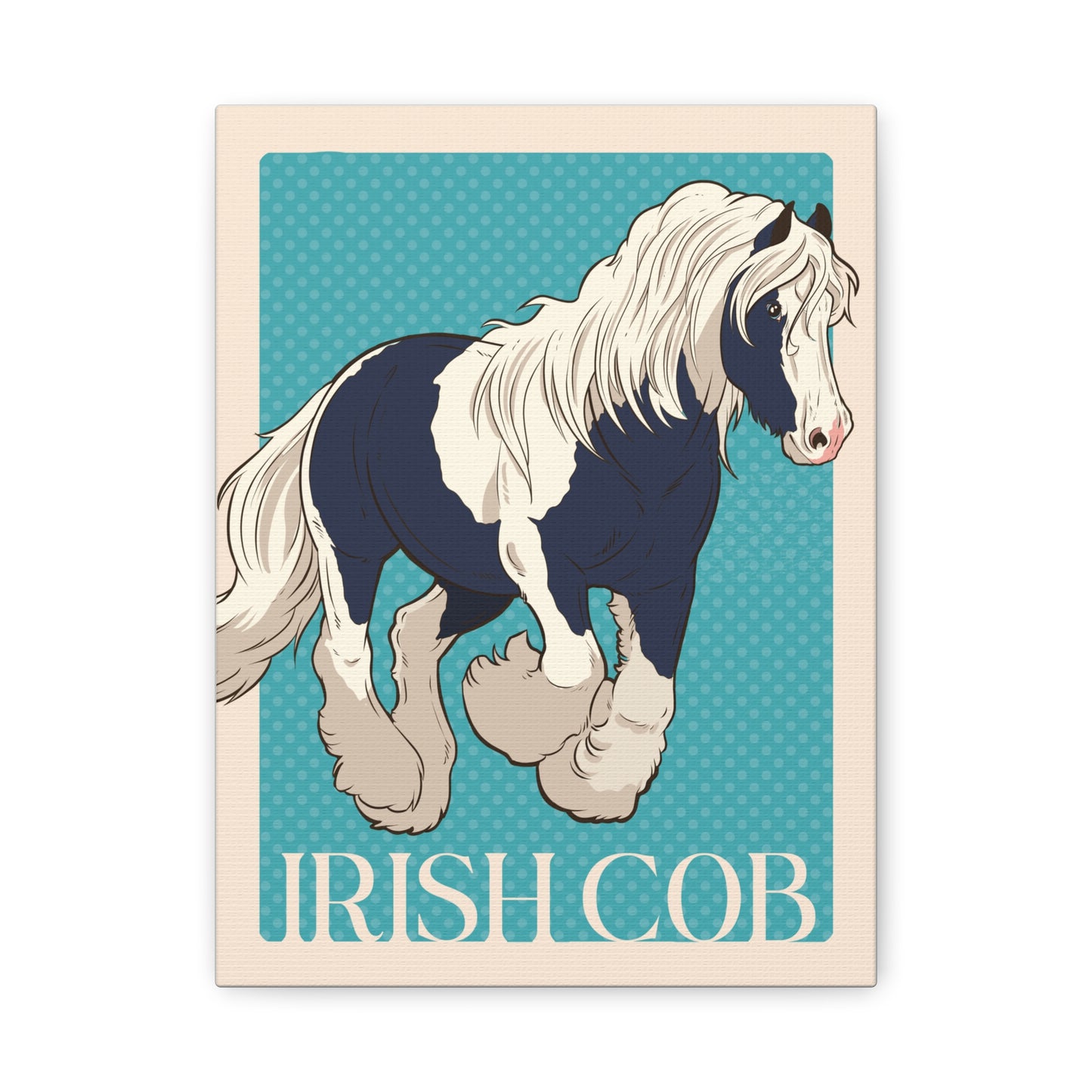 Canvas Print: Irish Cob
